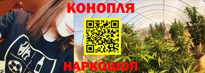 гашик Заволжье