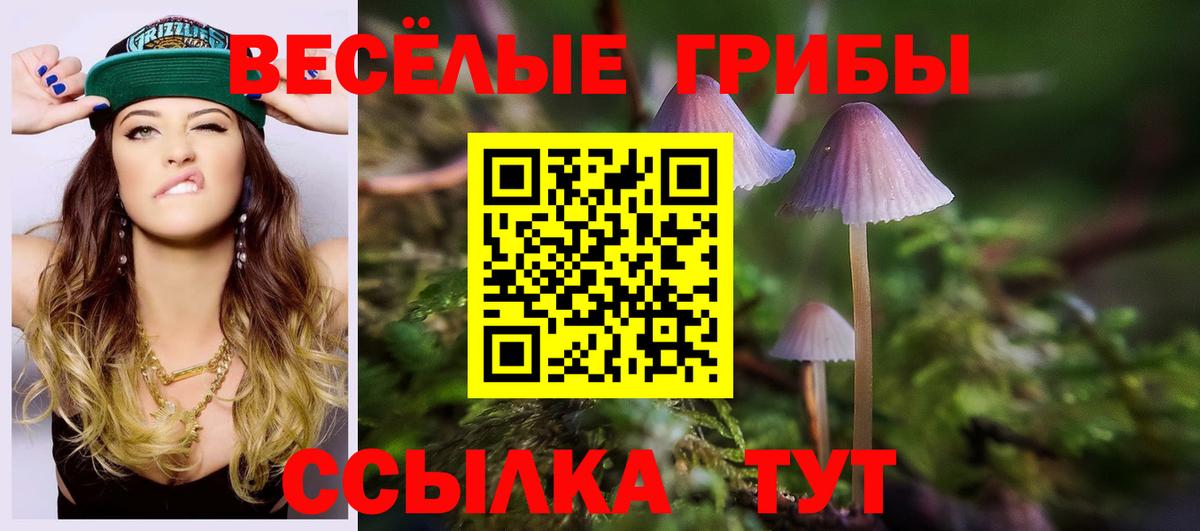Псилоцибиновые грибы GOLDEN TEACHER Ишимбай