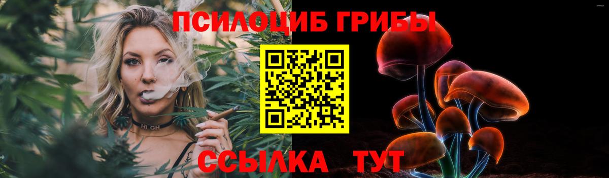 Ишимбай  Псилоцибиновые грибы мухоморы  Вход с VPN 